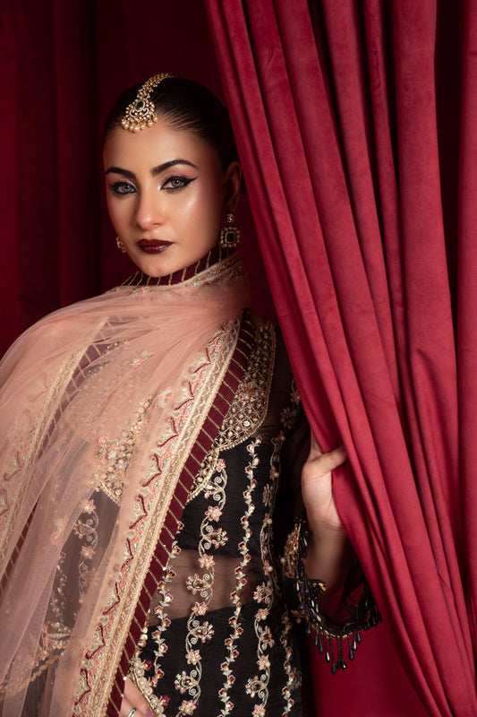 Bano Begum